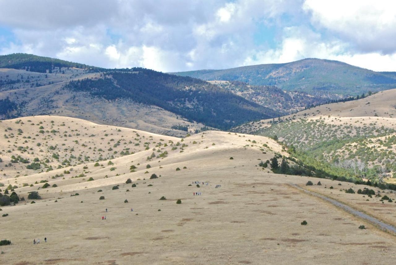 Erik'S Ranch Villa Hoffman Екстериор снимка